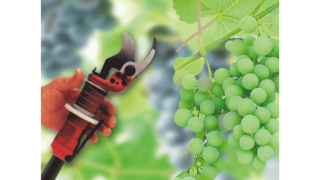 Industrijski batni kompresorji KAESER v vinogradništvu.